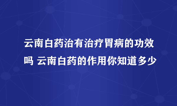 云南白药治有治疗胃病的功效吗 云南白药的作用你知道多少