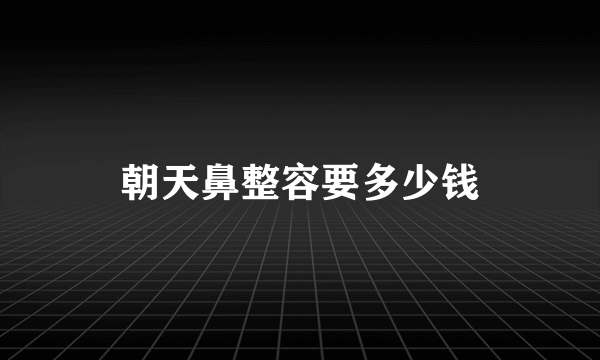 朝天鼻整容要多少钱