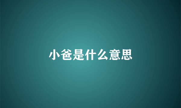 小爸是什么意思