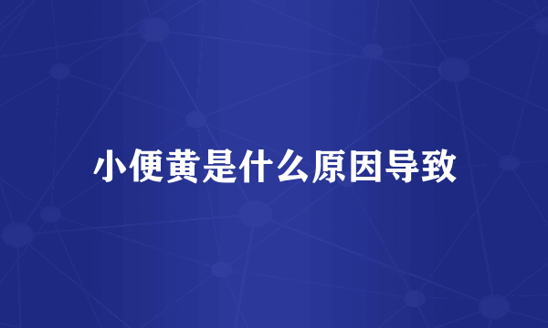 小便黄是什么原因导致