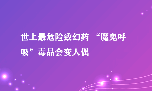 世上最危险致幻药 “魔鬼呼吸”毒品会变人偶