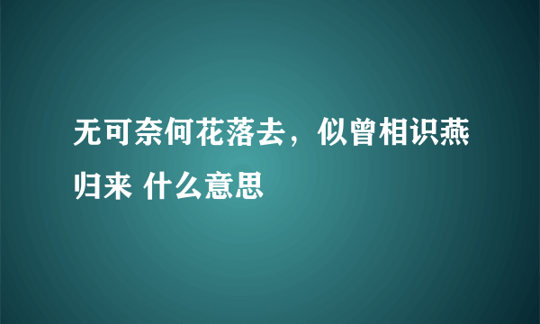 无可奈何花落去，似曾相识燕归来 什么意思