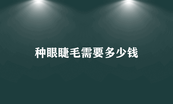 种眼睫毛需要多少钱