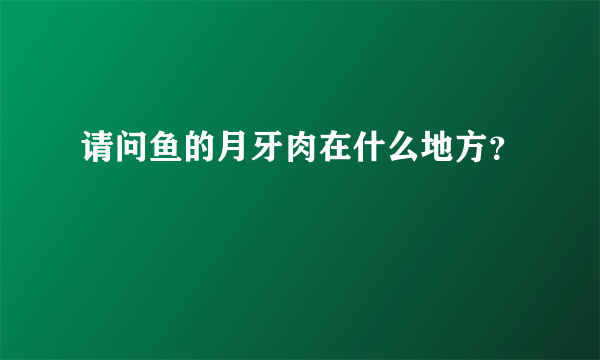 请问鱼的月牙肉在什么地方？