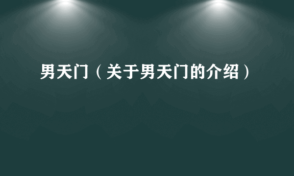 男天门（关于男天门的介绍）