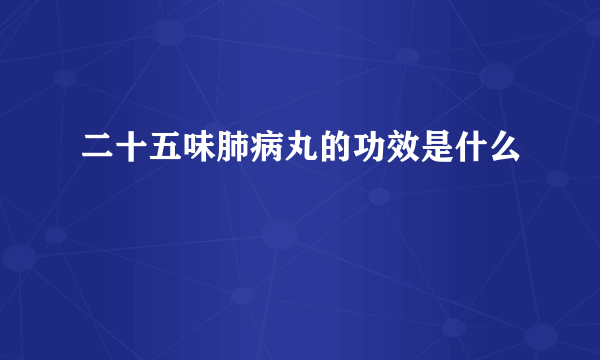 二十五味肺病丸的功效是什么