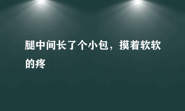 腿中间长了个小包，摸着软软的疼