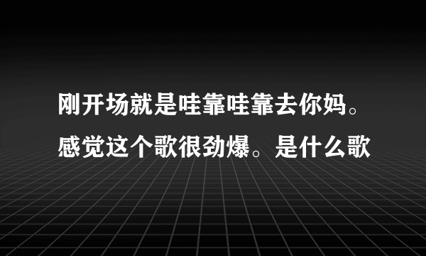 刚开场就是哇靠哇靠去你妈。感觉这个歌很劲爆。是什么歌