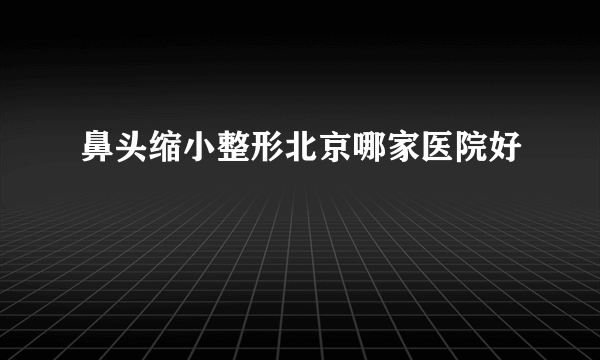 鼻头缩小整形北京哪家医院好