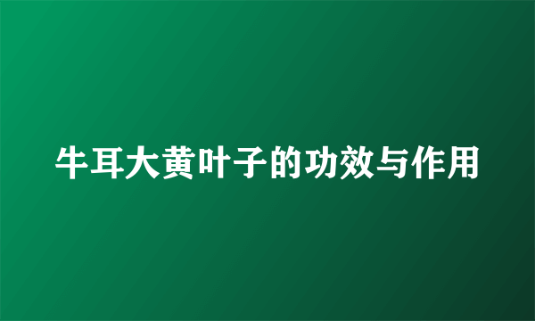 牛耳大黄叶子的功效与作用