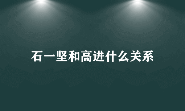 石一坚和高进什么关系