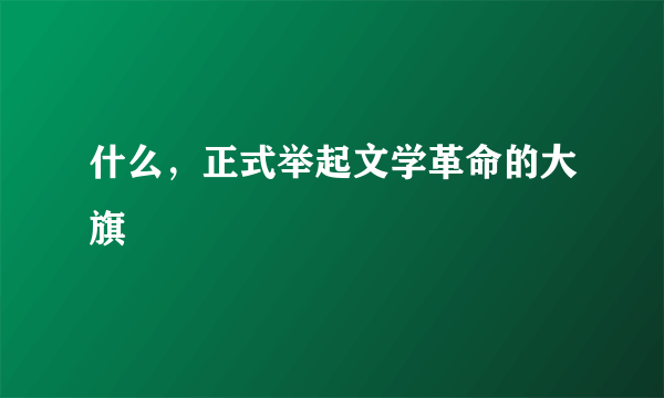 什么，正式举起文学革命的大旗