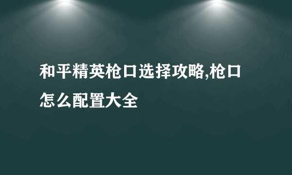 和平精英枪口选择攻略,枪口怎么配置大全