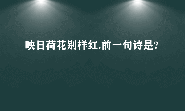 映日荷花别样红.前一句诗是?