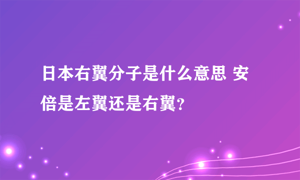 日本右翼分子是什么意思 安倍是左翼还是右翼？