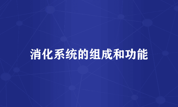 消化系统的组成和功能