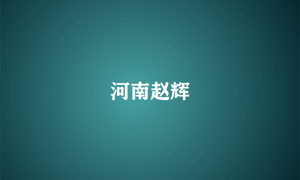 河南赵辉