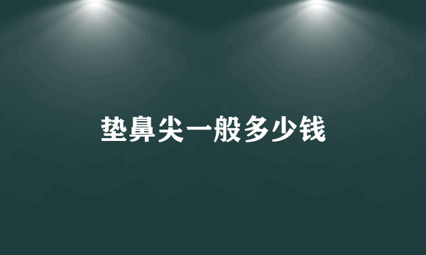 垫鼻尖一般多少钱