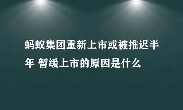 蚂蚁集团重新上市或被推迟半年 暂缓上市的原因是什么