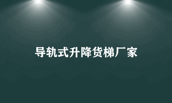 导轨式升降货梯厂家