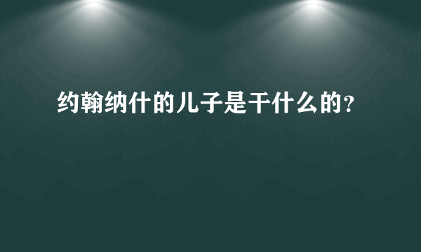 约翰纳什的儿子是干什么的？