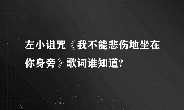 左小诅咒《我不能悲伤地坐在你身旁》歌词谁知道?