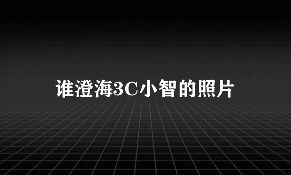 谁澄海3C小智的照片