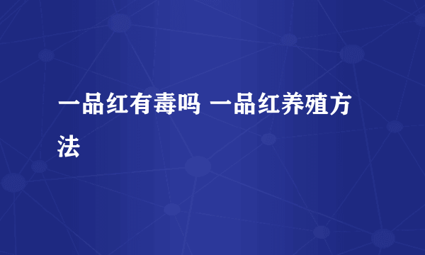 一品红有毒吗 一品红养殖方法