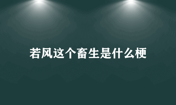 若风这个畜生是什么梗