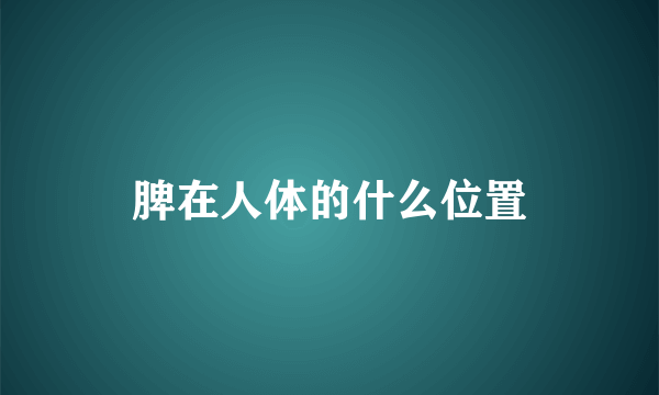 脾在人体的什么位置