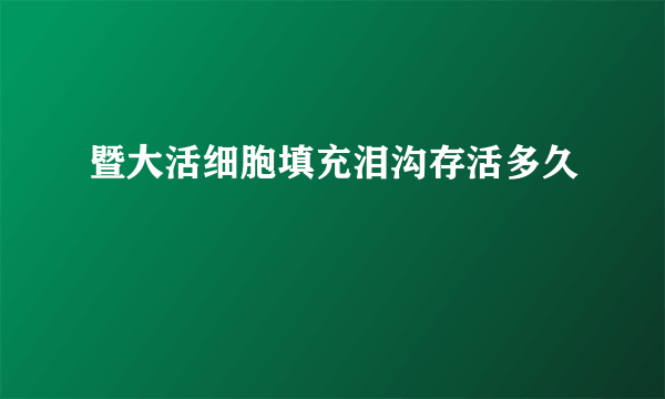 暨大活细胞填充泪沟存活多久