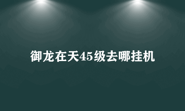 御龙在天45级去哪挂机