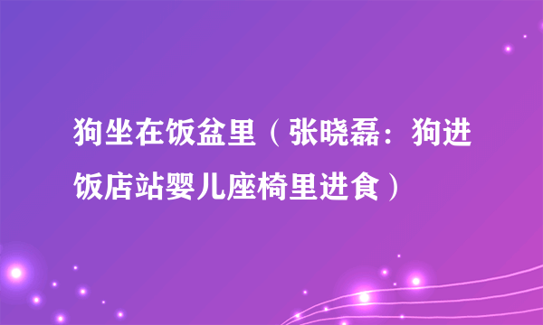 狗坐在饭盆里（张晓磊：狗进饭店站婴儿座椅里进食）