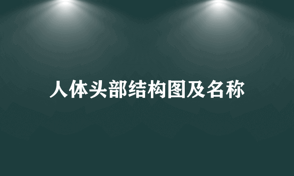 人体头部结构图及名称