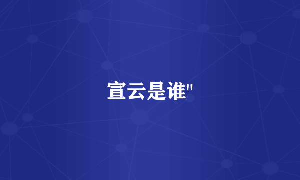宣云是谁