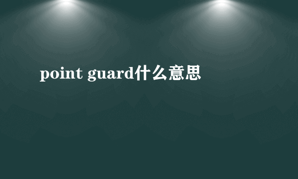 point guard什么意思