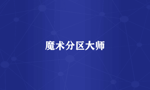 魔术分区大师