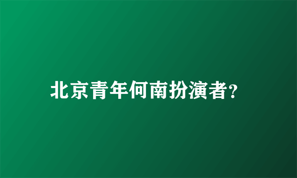 北京青年何南扮演者？