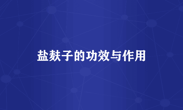 盐麸子的功效与作用