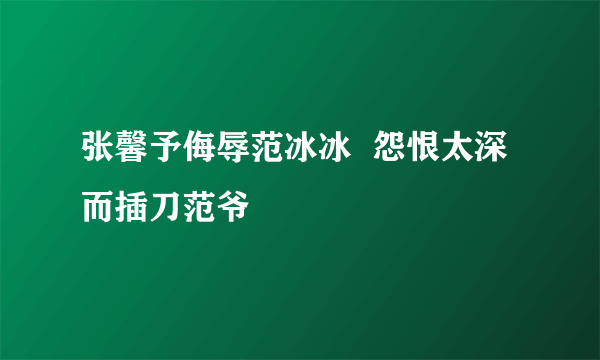 张馨予侮辱范冰冰  怨恨太深而插刀范爷