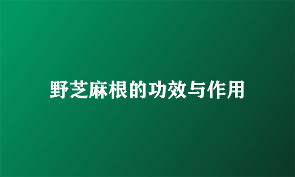 野芝麻根的功效与作用