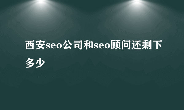 西安seo公司和seo顾问还剩下多少