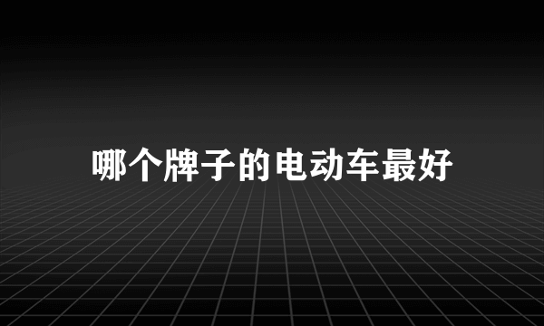 哪个牌子的电动车最好