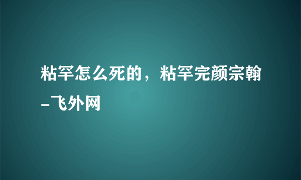 粘罕怎么死的，粘罕完颜宗翰-飞外网