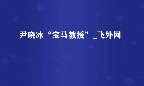 尹晓冰“宝马教授”_飞外网