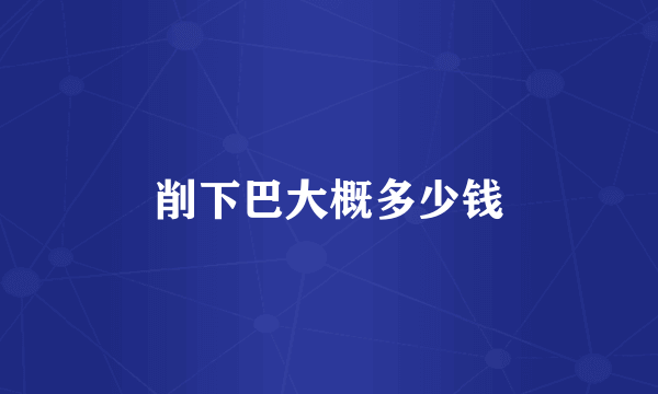削下巴大概多少钱