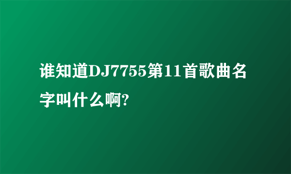 谁知道DJ7755第11首歌曲名字叫什么啊?