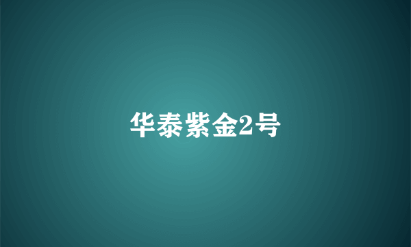 华泰紫金2号